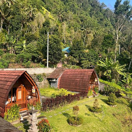 Villa Lumbung Ayu Sari & Spa Karangasem  Luaran gambar