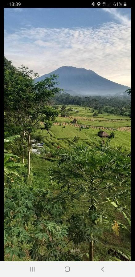 Villa Lumbung Ayu Sari & Spa Karangasem  Luaran gambar