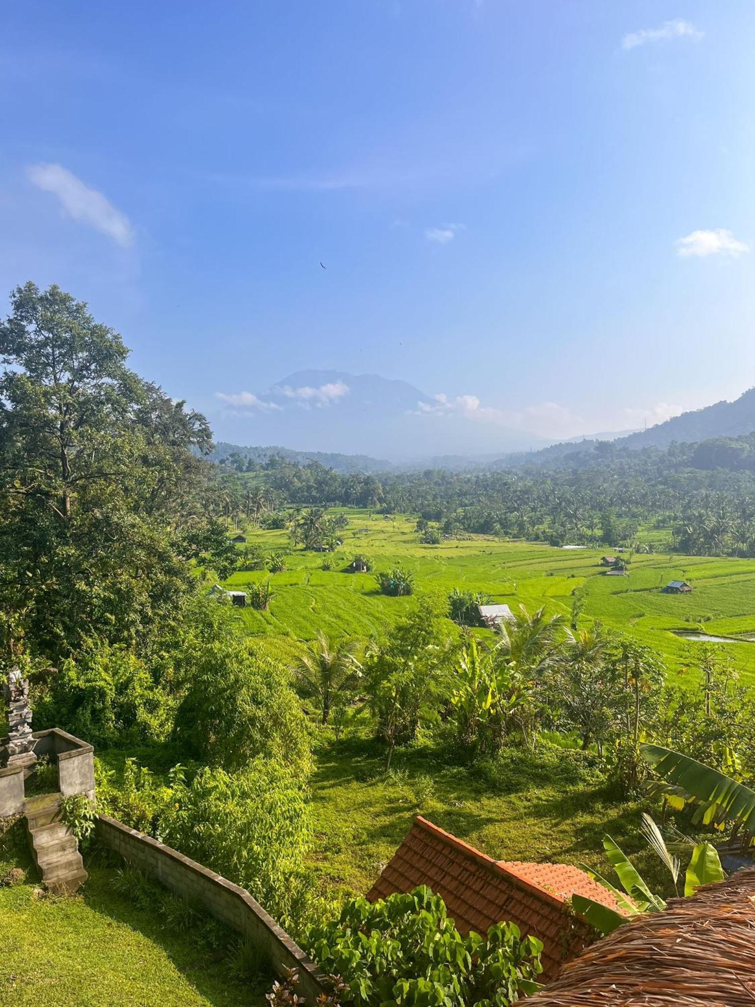 Villa Lumbung Ayu Sari & Spa Karangasem  Luaran gambar